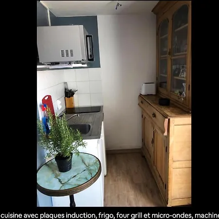 Apartment 2 Pieces 2 Terrasses 100 M Croisette Tres Clair. *